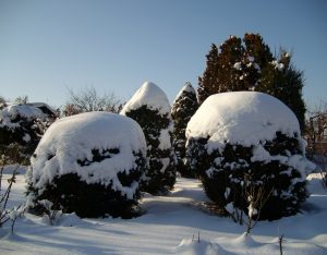 Geometrische Formen im Garten