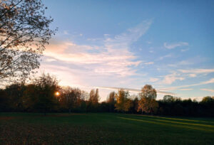 Herbst im Park Leipzig-Dösen (2)