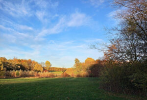 Herbst im Park Leipzig-Dösen (3)